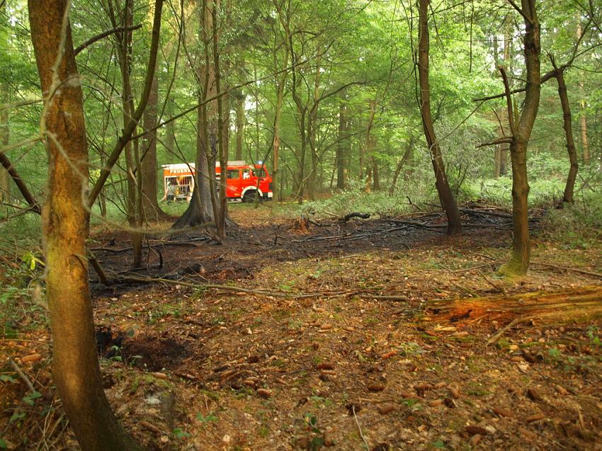 Waldbrand Bergisch Gladbach Bensberg P029.JPG